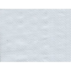 Bâche de protection - 100 g/m²