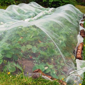 Filet anti-insectes à seulement 9,99 € - Déstockage