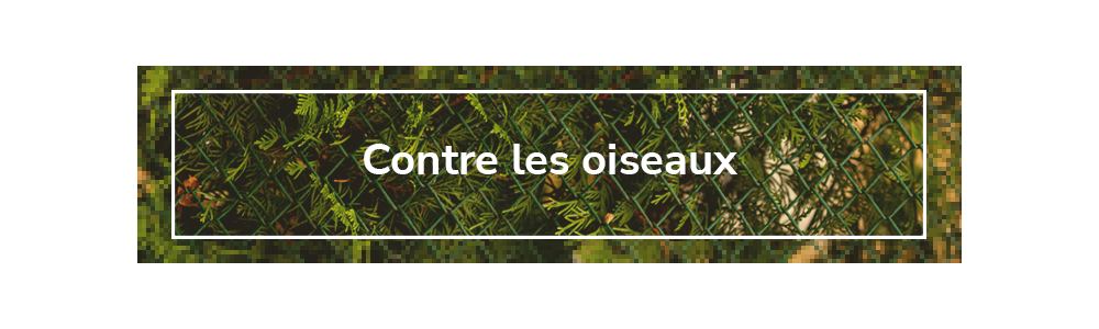 Contre les oiseaux