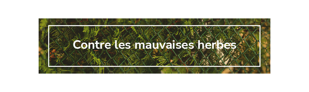 Contre les mauvaises herbes